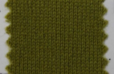 產(chǎn)品名稱：CACTUS 25242； 所屬分類：2股26支146％羊絨粗紡(AURORA)