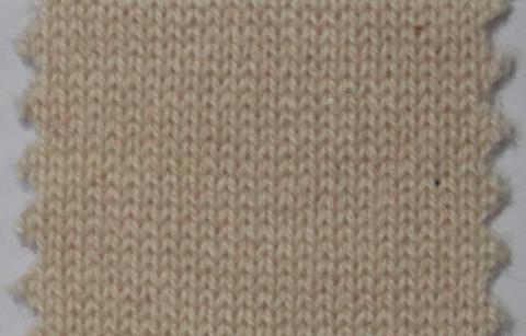 產(chǎn)品名稱：MALLOW 25221； 所屬分類：2股26支160％羊絨粗紡(AURORA)