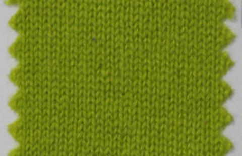 產(chǎn)品名稱：WASABI 25241； 所屬分類：2股26支143％羊絨粗紡(AURORA)