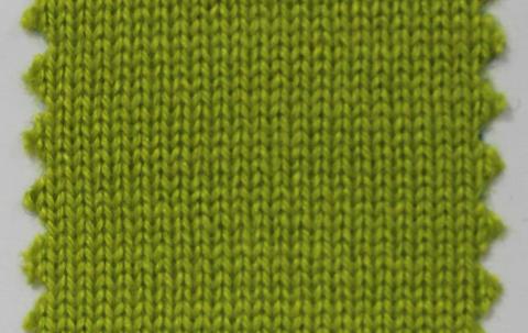 產(chǎn)品名稱：WASABI NS-6511； 所屬分類：2股28支55％絲49％羊絨-粗紡（THEMIS）